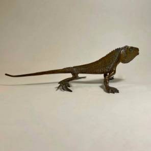 Bronze Lizard  